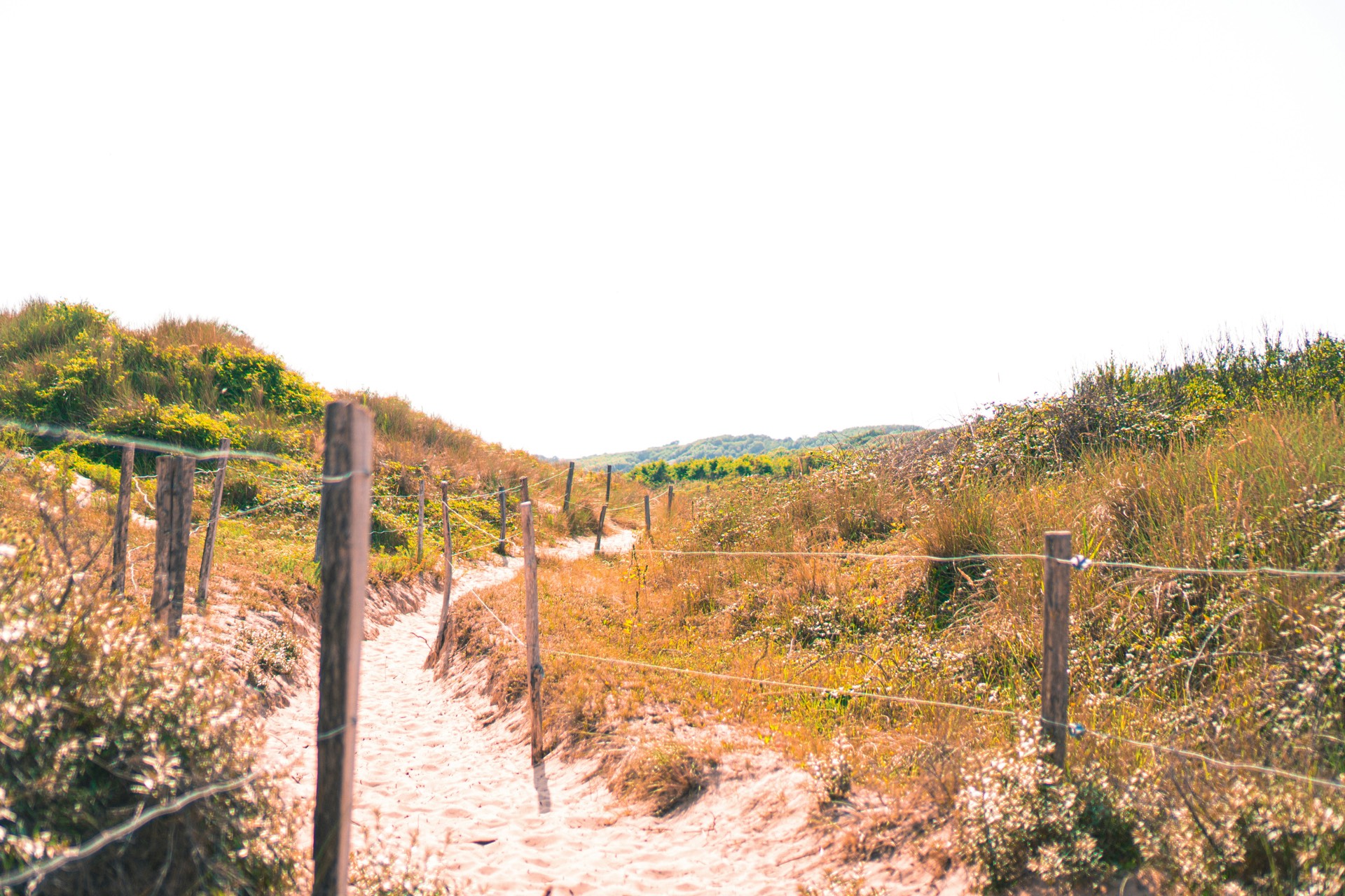 Coastal run on the beach