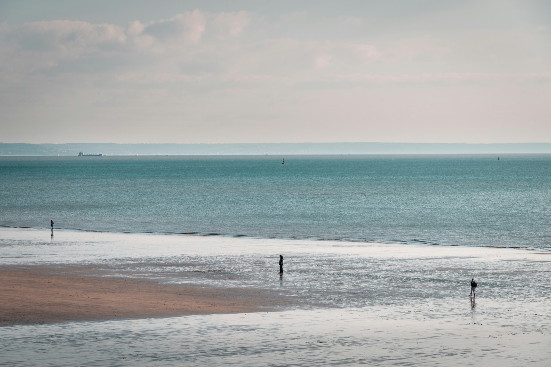 Guided walk on the beach